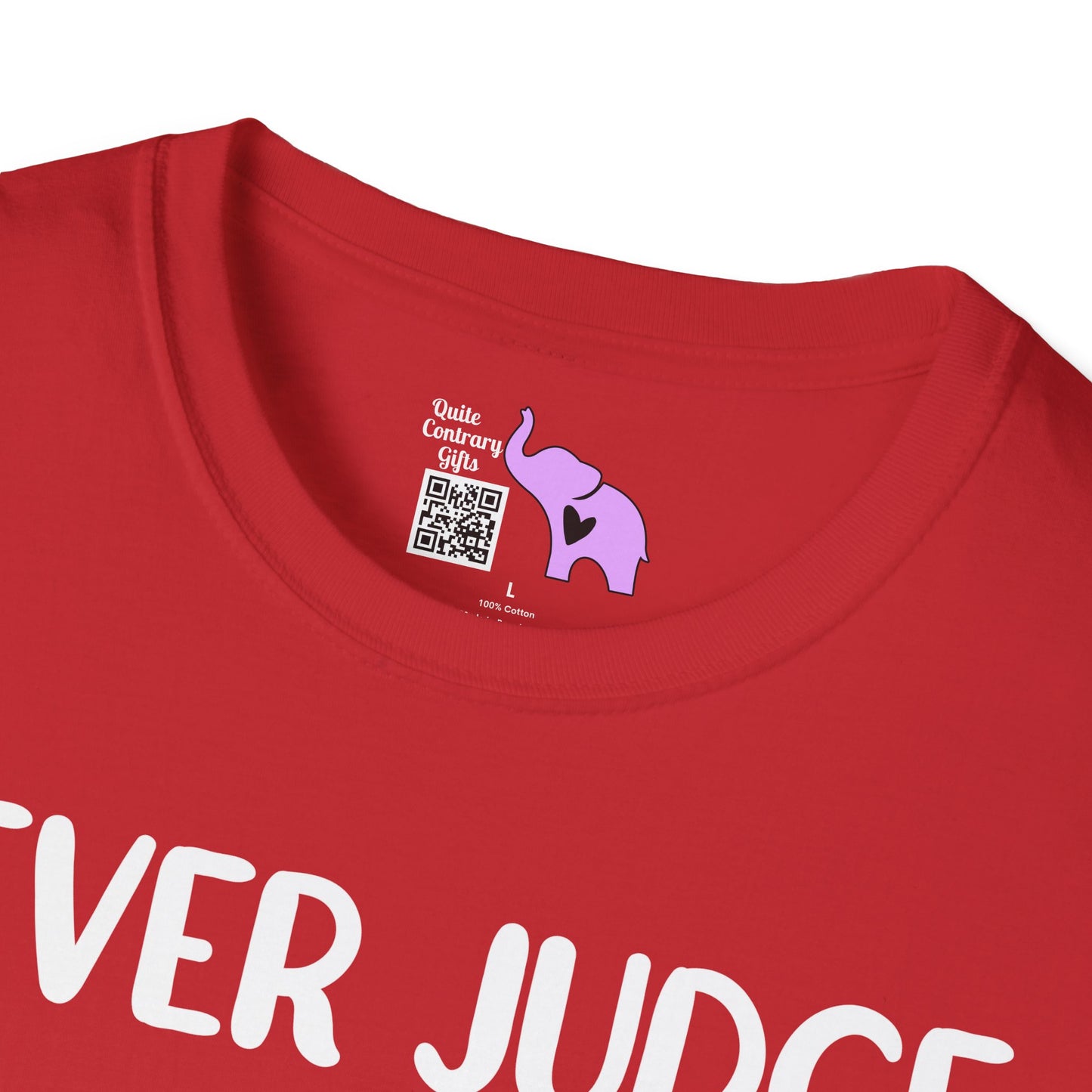 Never Judge Someone By The Visibility Of Their Illness Adult T-shirt