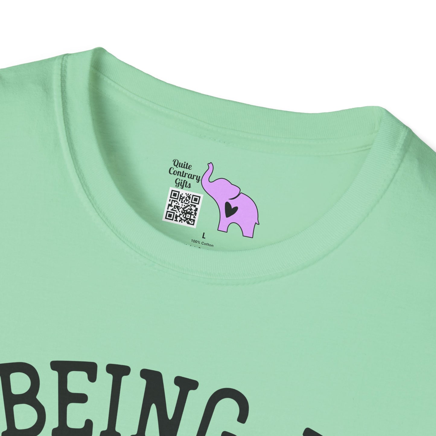 Being A Functional Adult Every Day Seems A Bit Excessive Adult T-shirt