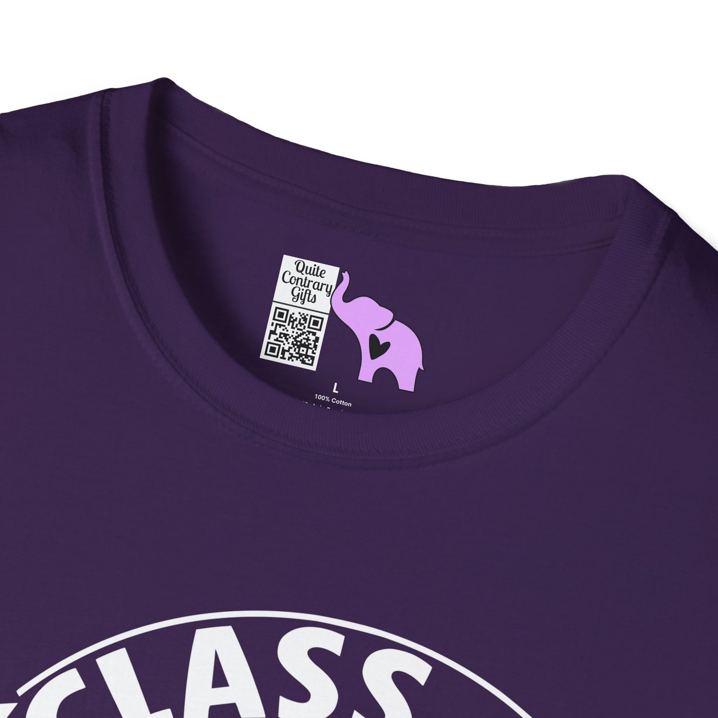 Class of 2027 Senior (Arch) Adult T-shirt