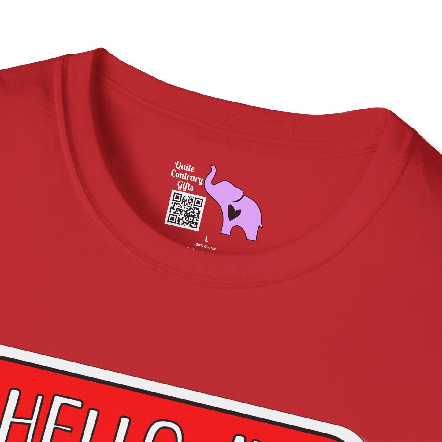 Hello, I'm Medically Spicy Adult T-shirt