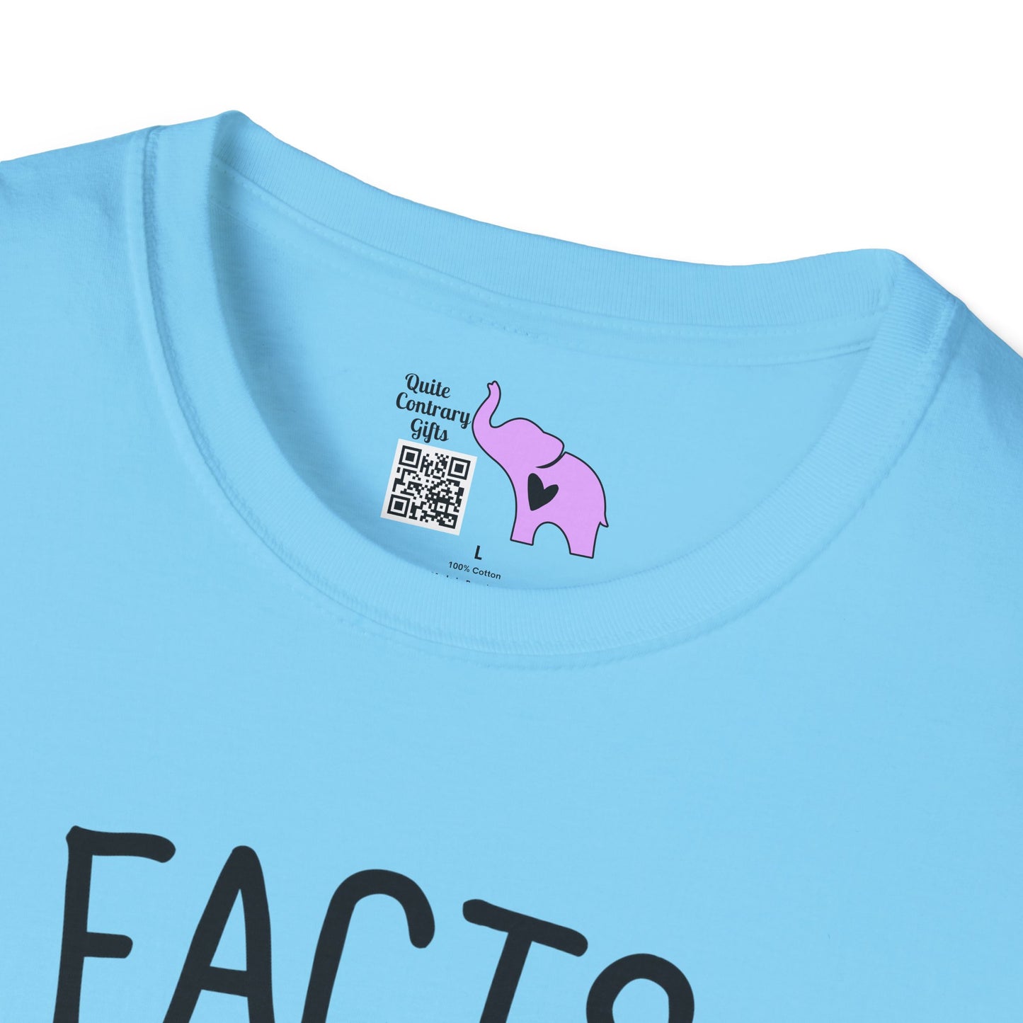 Facts Don't Care About Your Feelings American Flag Adult T-shirt