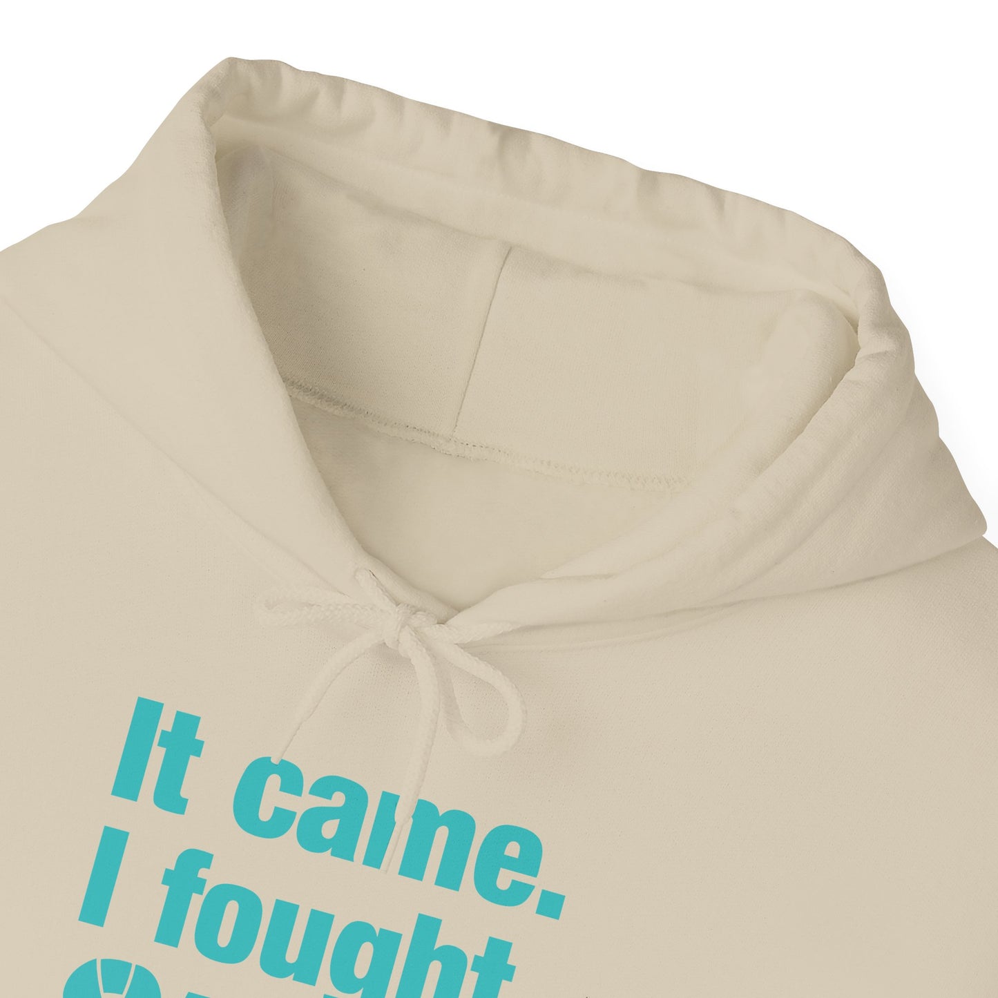 It Came I Fought I Won Cervical Cancer Awareness Adult Heavy Blend™ Hoodie