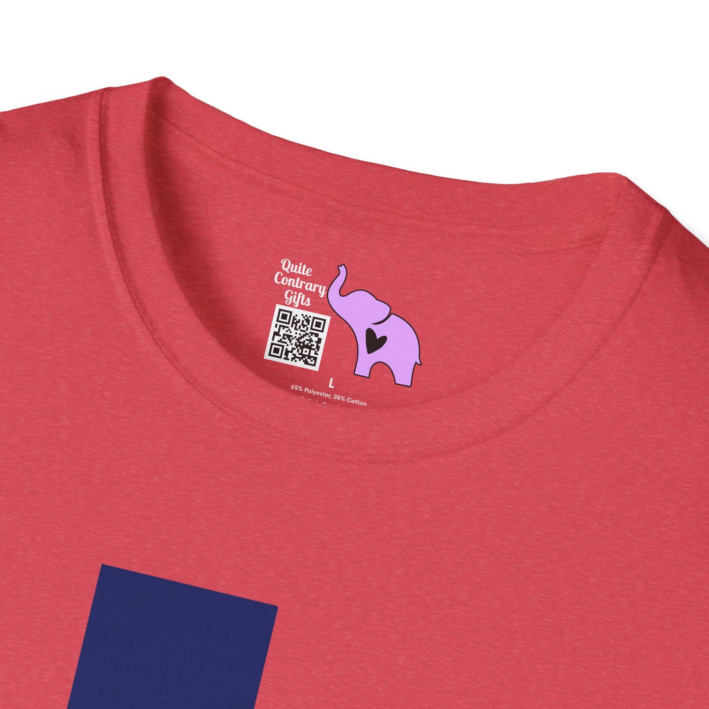 Texas Flag w/Longhorn Adult T-shirt