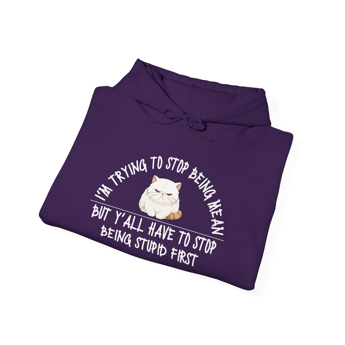 I'm Trying To Stop Being Mean... Heavy Blend™ Hooded Sweatshirt