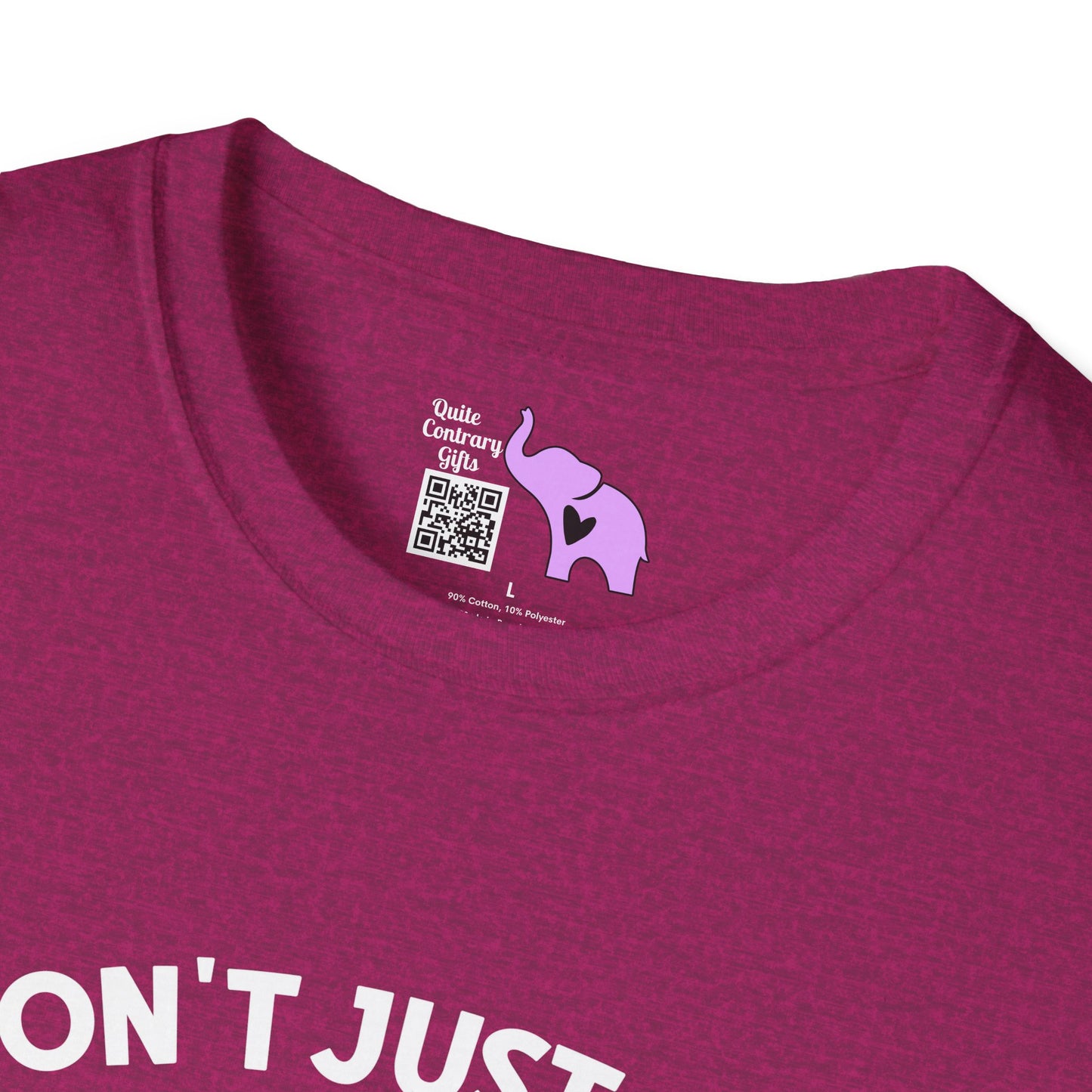 I Don't Just Ride On The Crazy Train...I Drive It Adult T-shirt