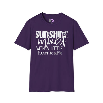 Sunshine Mixed With A Little Hurricane Adult T-shirt