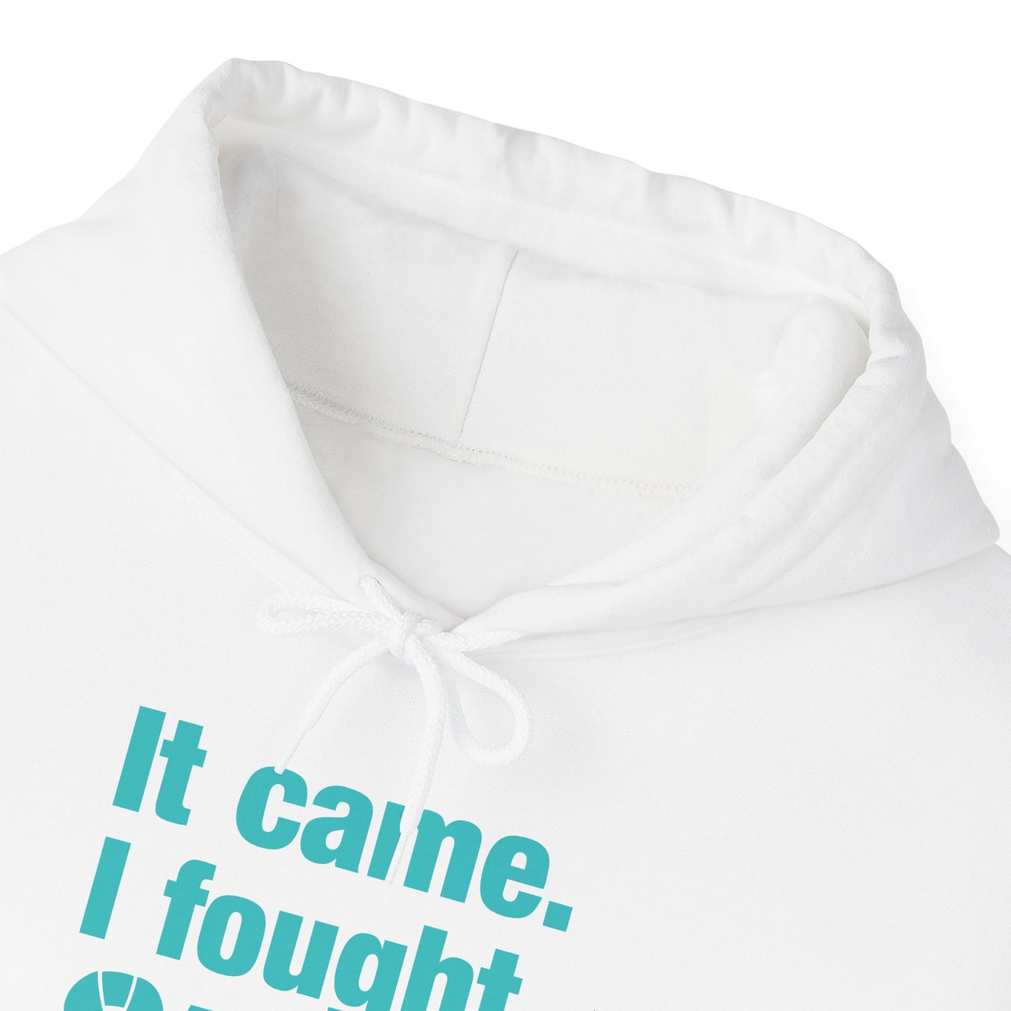It Came I Fought I Won Cervical Cancer Awareness Adult Heavy Blend™ Hoodie