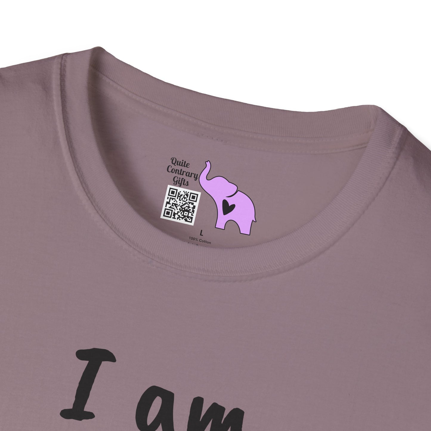 I am Becoming Pessimistic About my Optimism Adult T-shirt