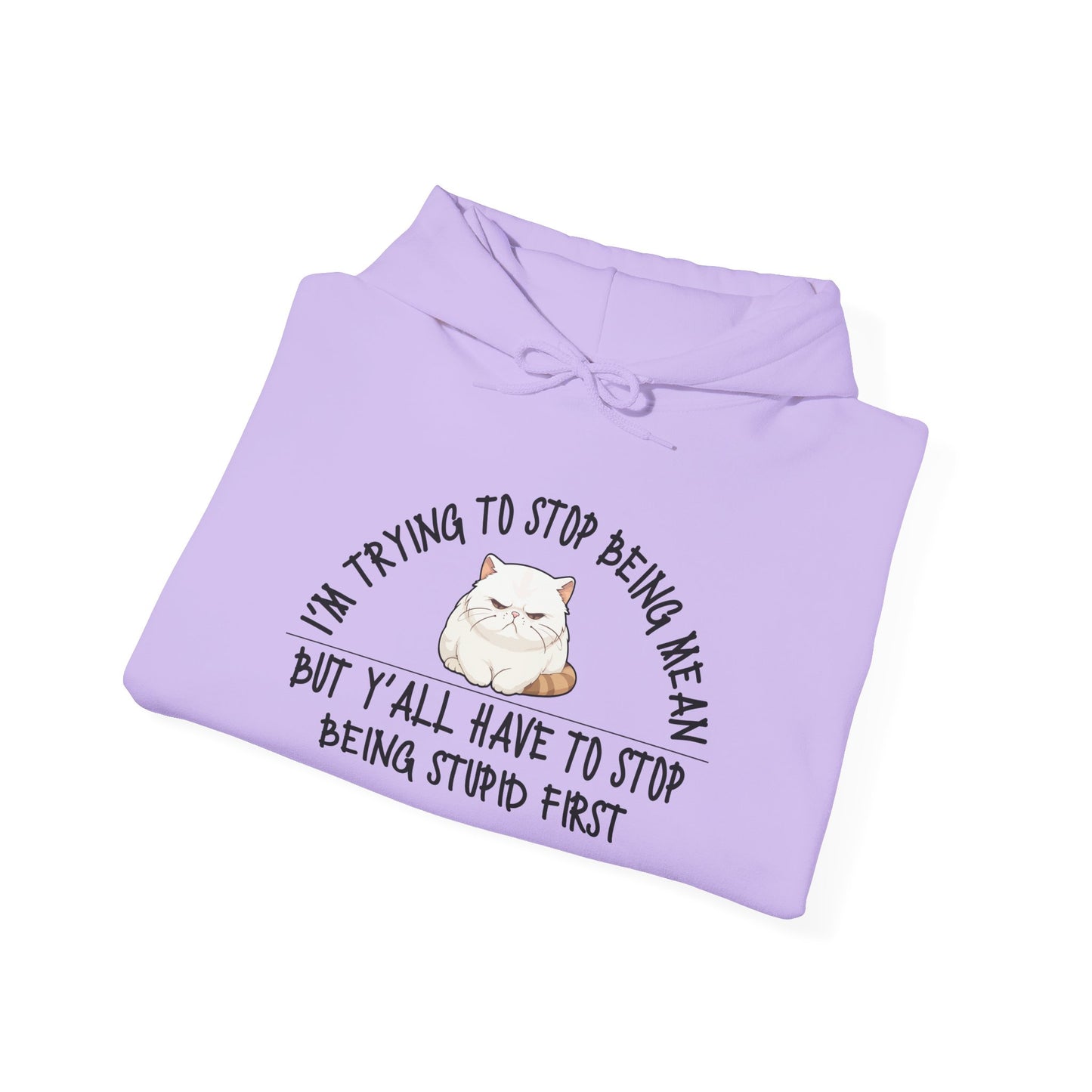 I'm Trying To Stop Being Mean... Heavy Blend™ Hooded Sweatshirt