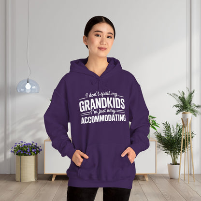 I Don't Spoil My Grandkids I'm Just Very Accommodating Heavy Blend™ Hooded Sweatshirt