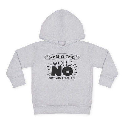 What Is This Word No That You Speak Of? Toddler Hoodie