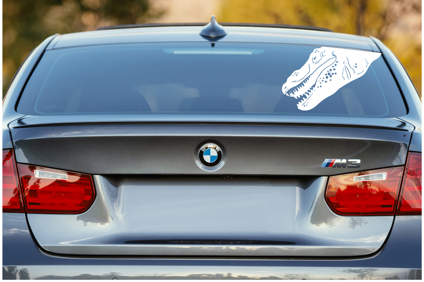 T-Rex Peek-A-Boo Decal