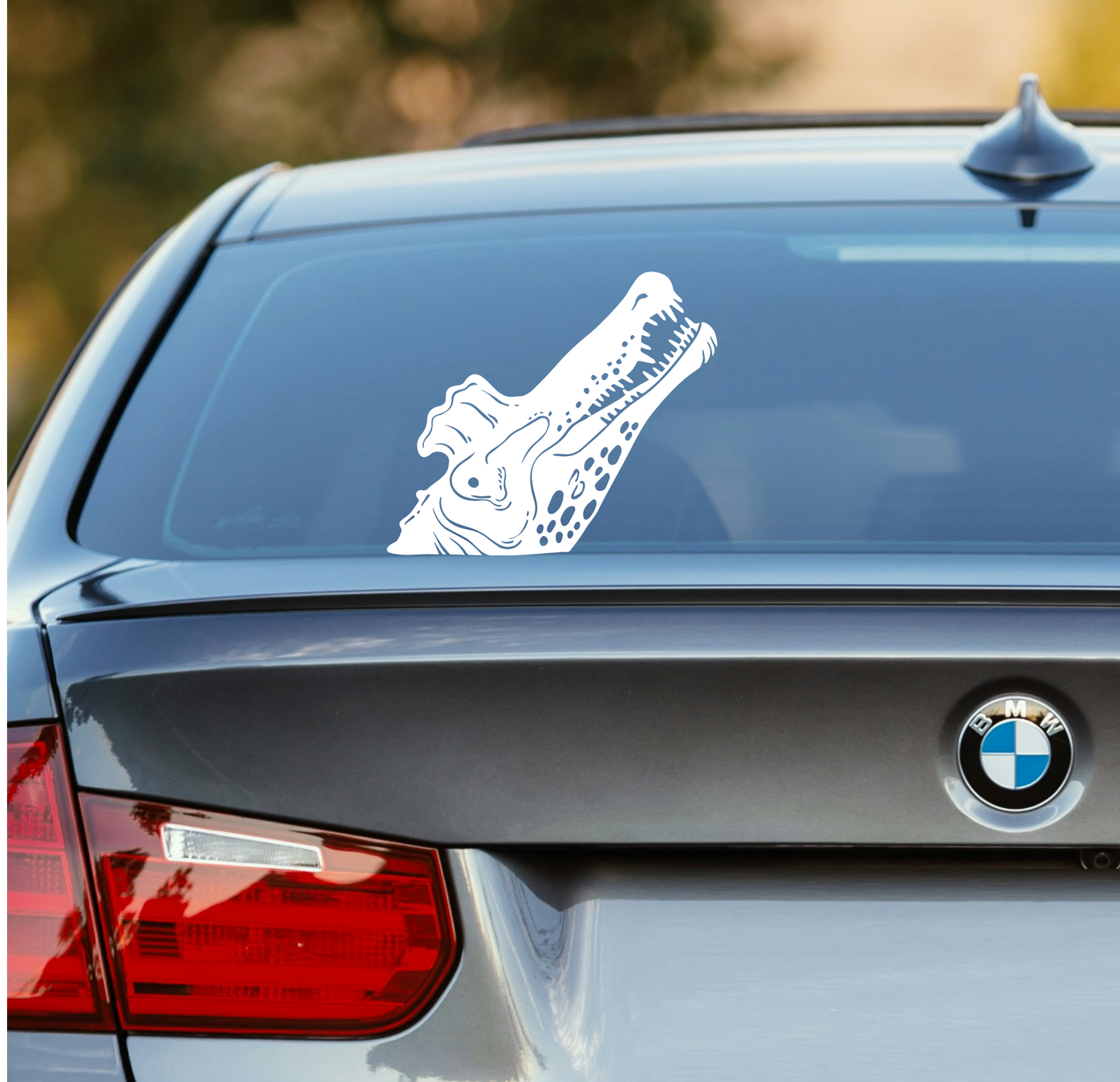 Spinosaurus Peek-A-Boo Decal