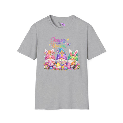 Jesus Is The Reason Adult T-shirt