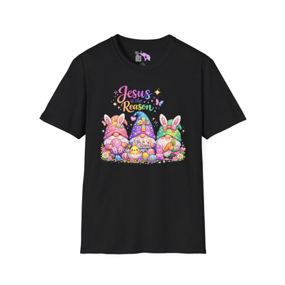 Jesus Is The Reason Adult T-shirt