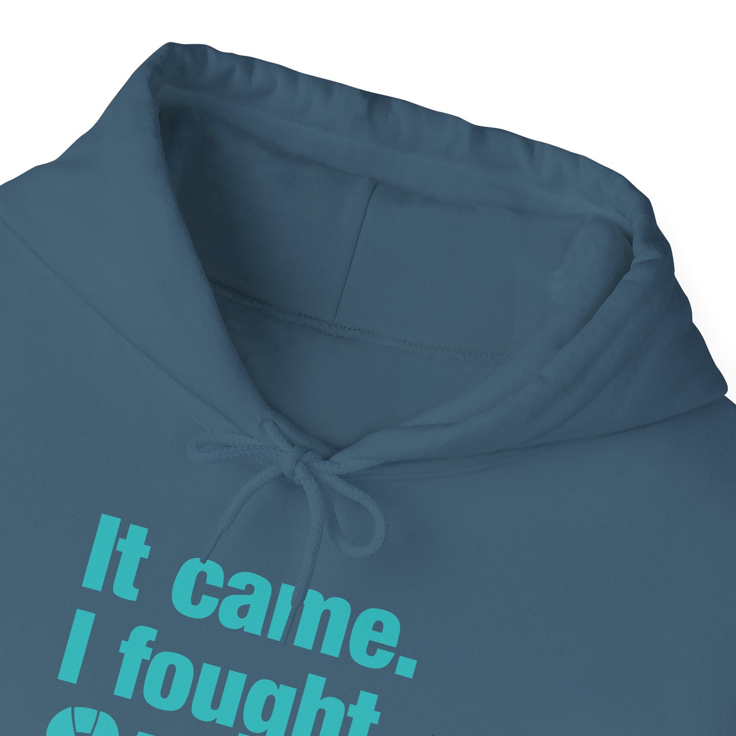 It Came I Fought I Won Cervical Cancer Awareness Adult Heavy Blend™ Hoodie