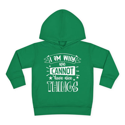 I Am Why We Cannot Have Nice Things Toddler Hoodie