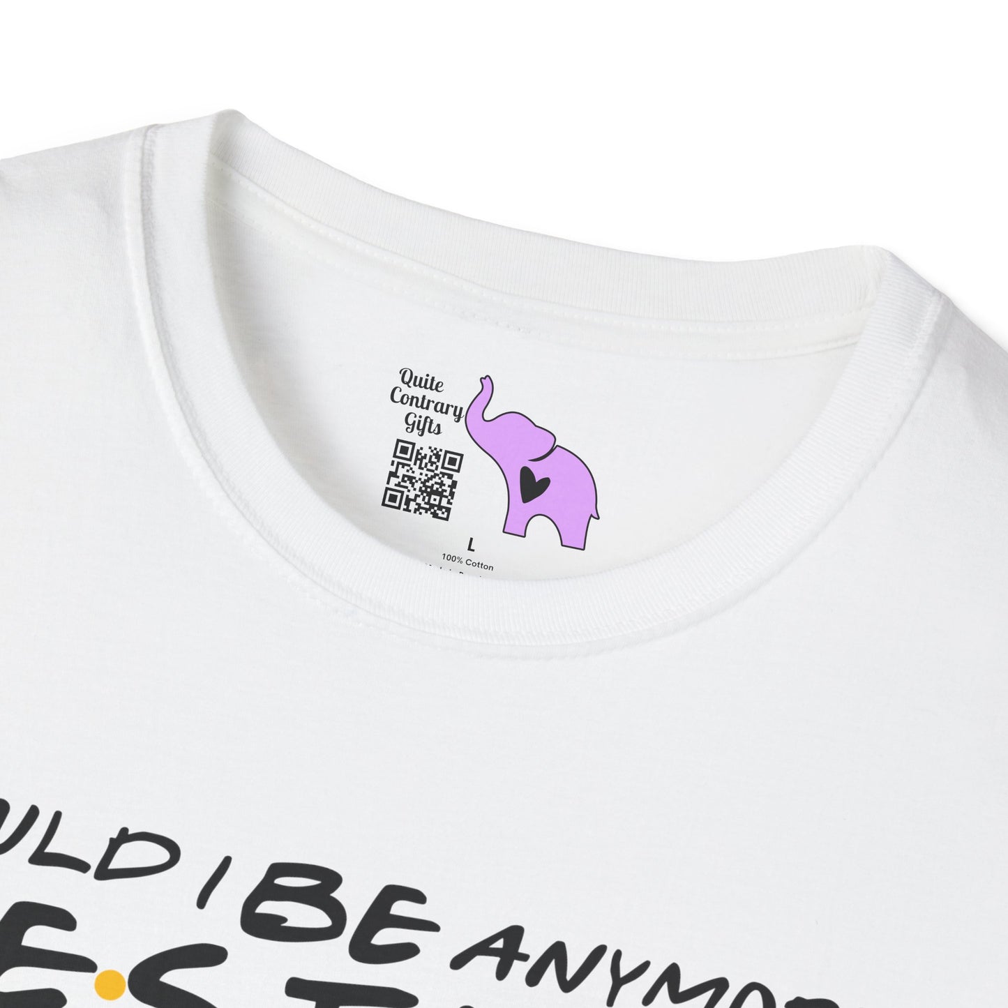 Could I BE Anymore Festive? (Friends, Phoebe's Christmas Song) Adult T-shirt