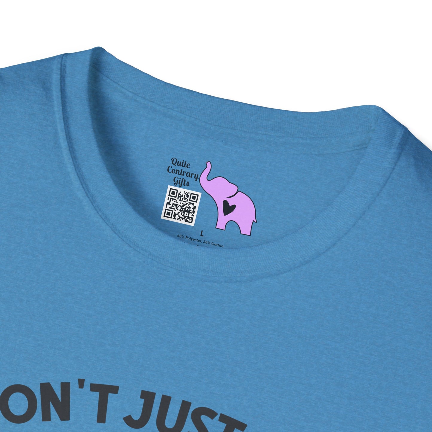 I Don't Just Ride On The Crazy Train...I Drive It Adult T-shirt