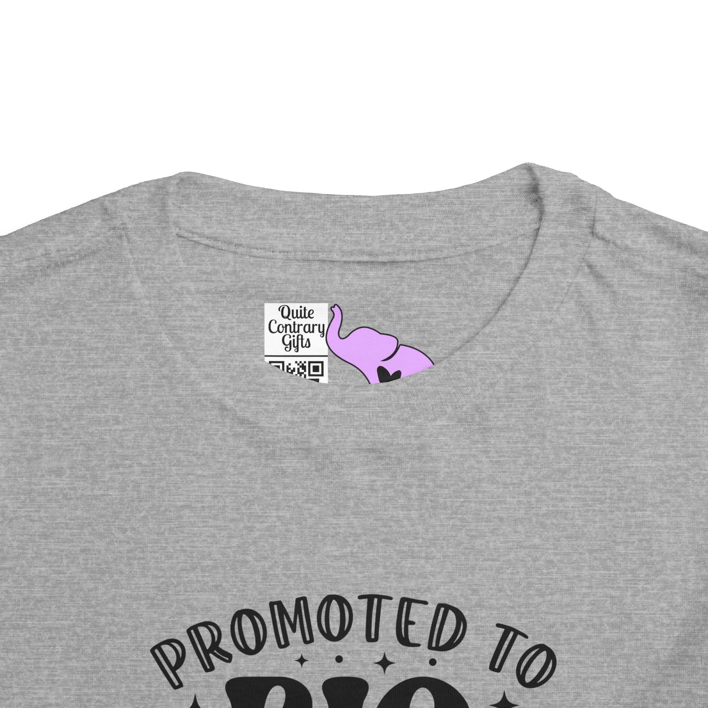 Promoted to Big Sister Toddler Tee