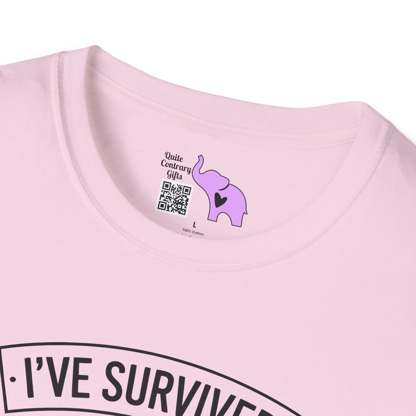 I've Survived Too Many Storms To Be Bothered By Raindrops Adult T-shirt