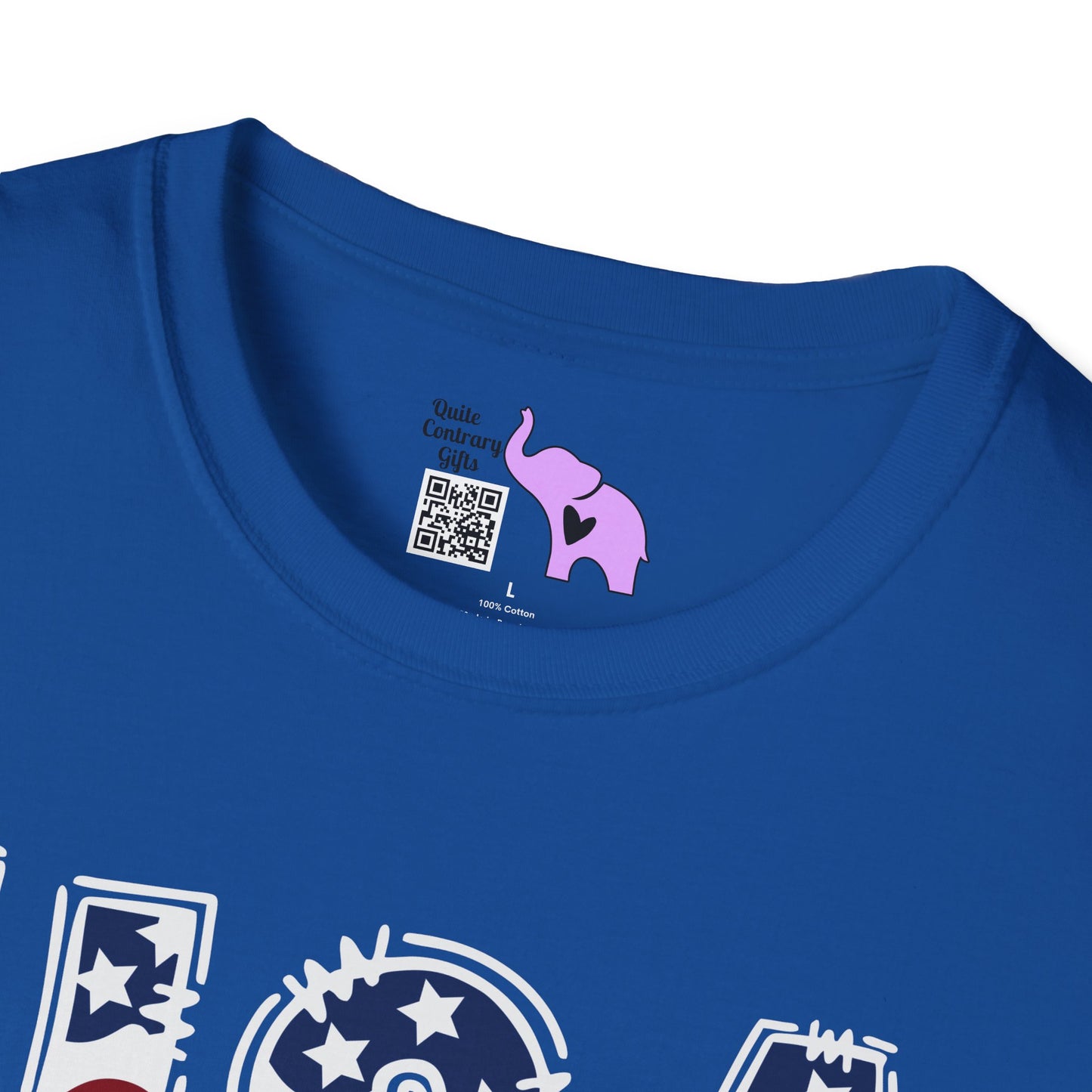 USA in Style Adult T-shirt