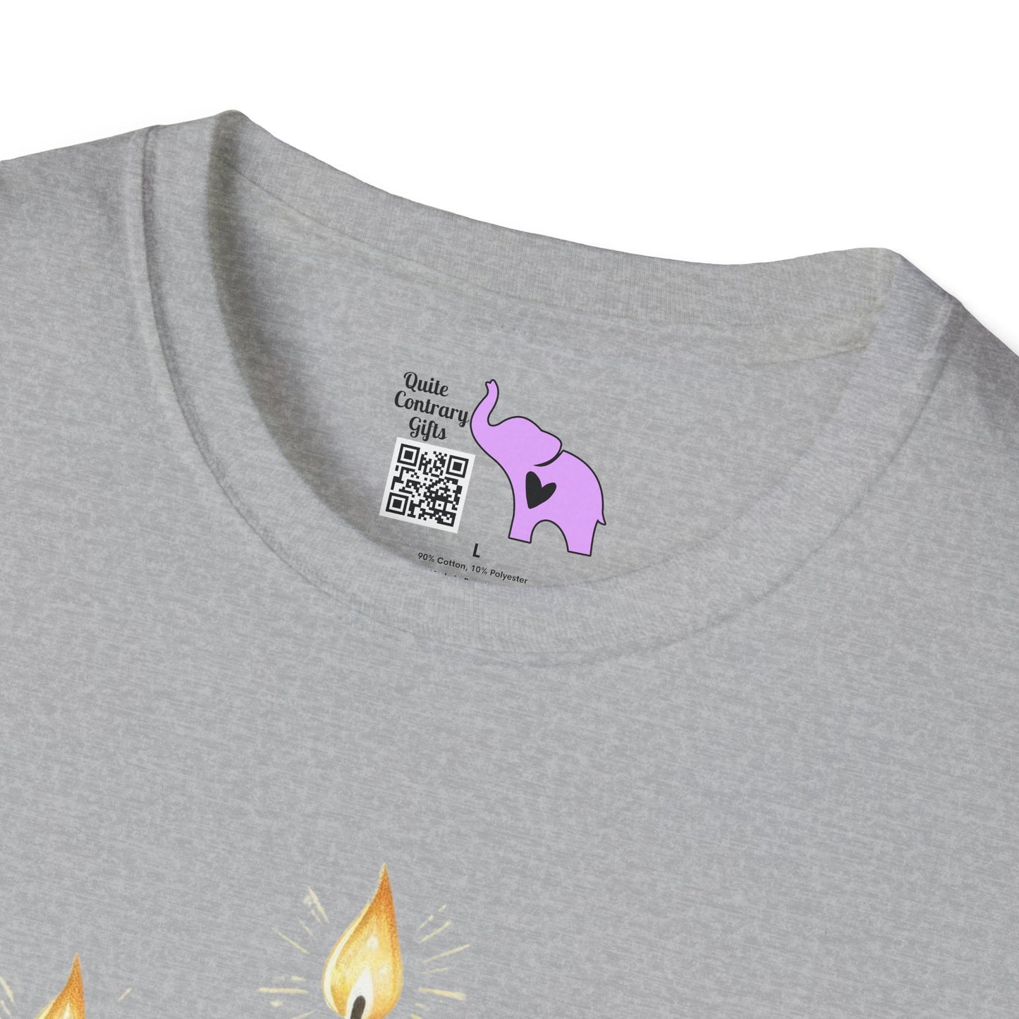 Star & Flame Hanukkah Adult T-shirt