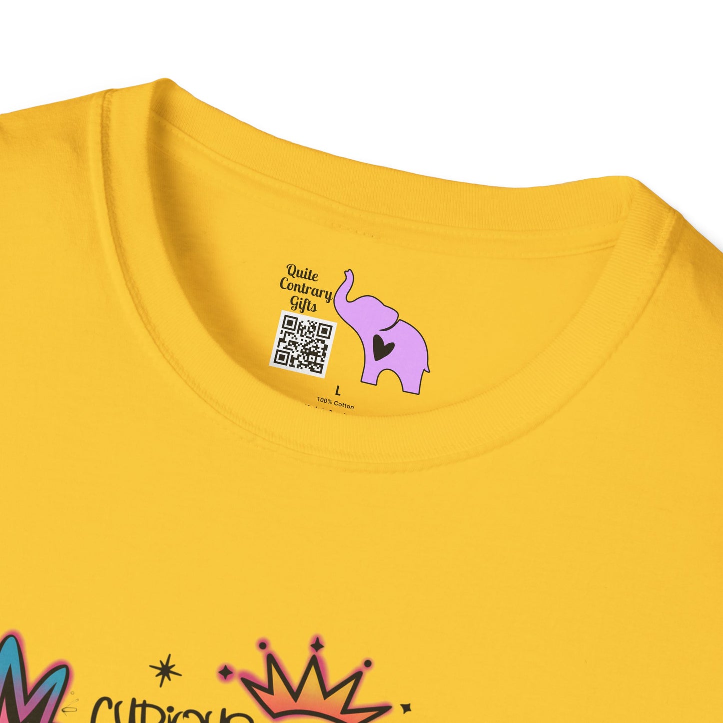 Gemini Street Art Adult T-shirt