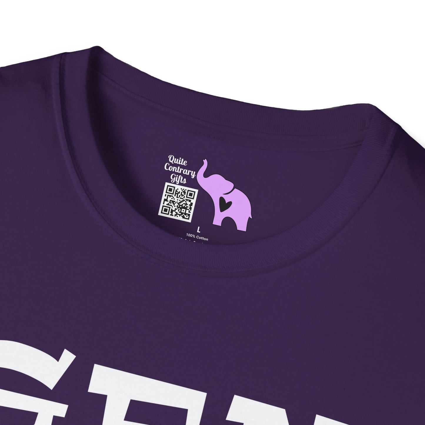 Gen X We Did It All Without Any Evidence Adult T-shirt