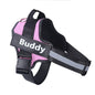 Personalized NO PULL Dog Reflective Dog Harness