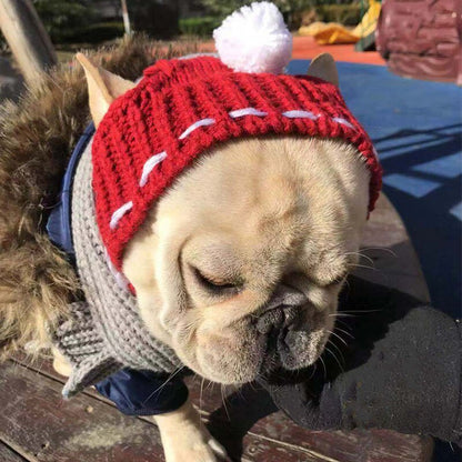 French Beanie Hat and Winter Wool Scarf for Pets