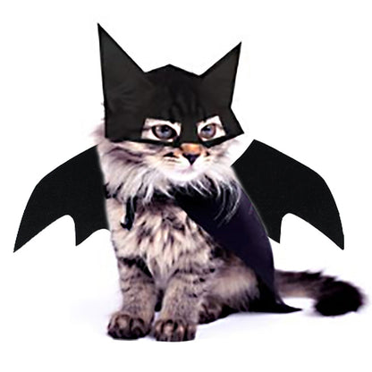 Pet Mask/Bat/Wings Costume