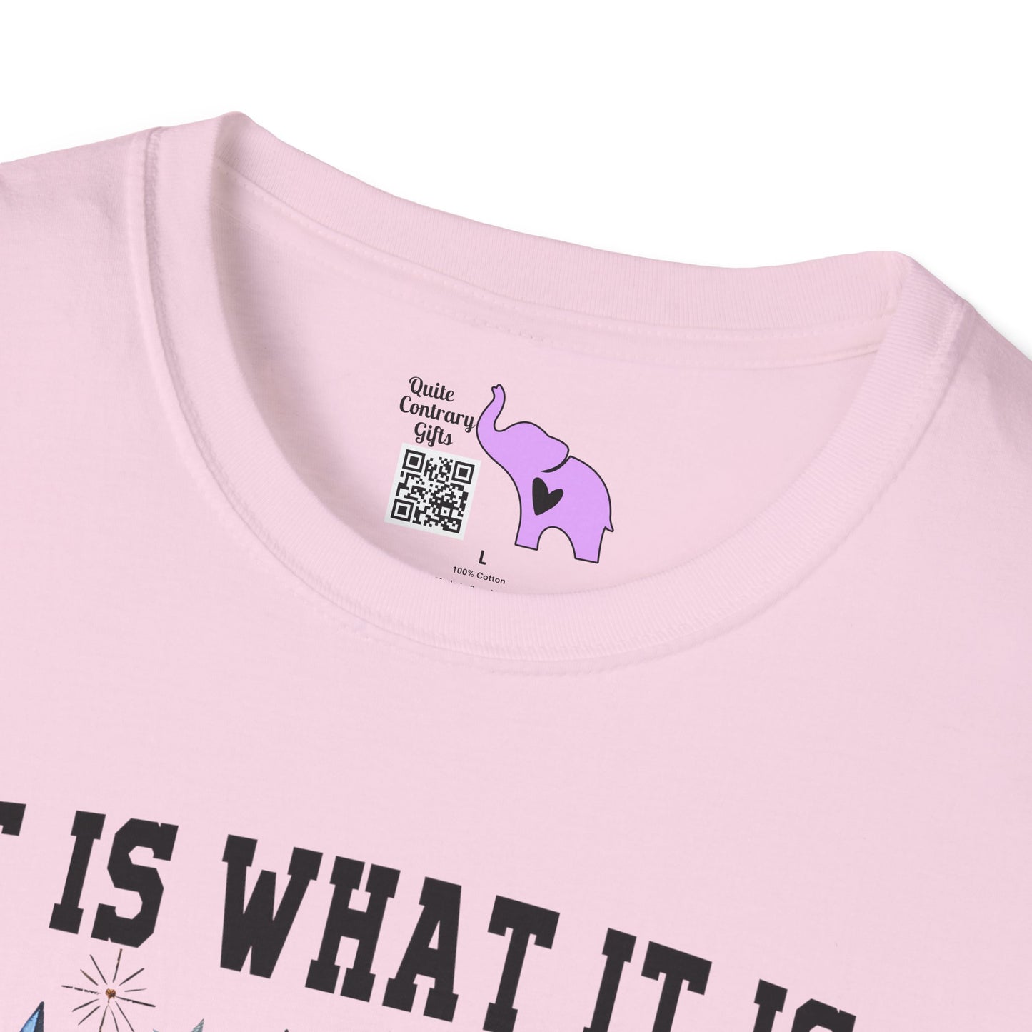 It Is What It Is And It's Not Great Racoon (2) Adult T-shirt