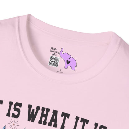 It Is What It Is And It's Not Great Racoon (2) Adult T-shirt