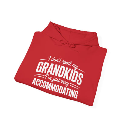 I Don't Spoil My Grandkids I'm Just Very Accommodating Heavy Blend™ Hooded Sweatshirt