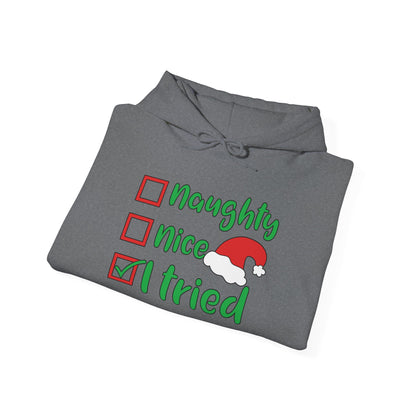 Naughty; Nice; I Tried Adult Heavy Blend™ Hooded Sweatshirt