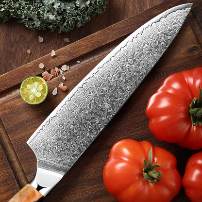 Damascus Steel Professional Chef Knife Set