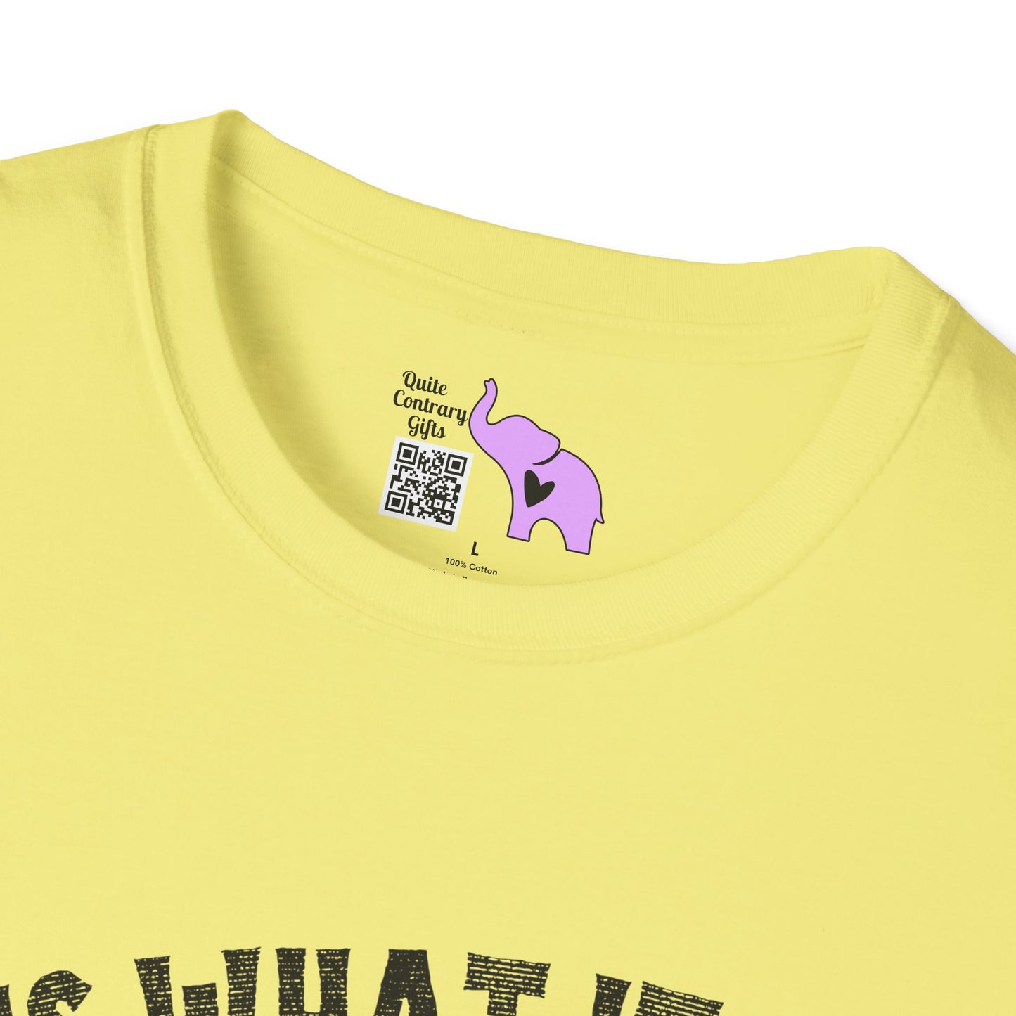 It Is What It Is And It's Not Great (Dog) Adult T-shirt