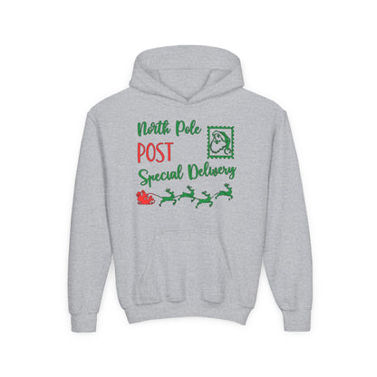 North Pole Post Special Delivery Youth Hoodie