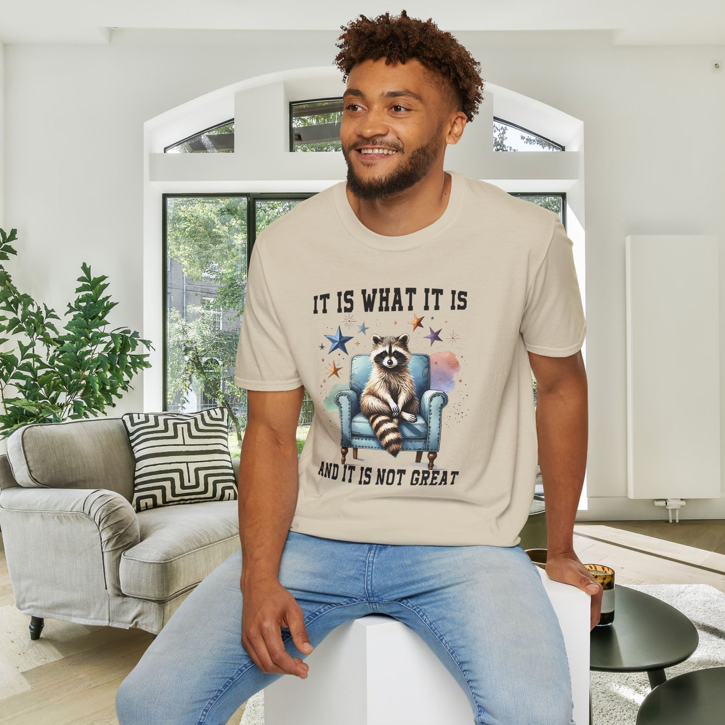 It Is What It Is And It's Not Great Racoon (2) Adult T-shirt