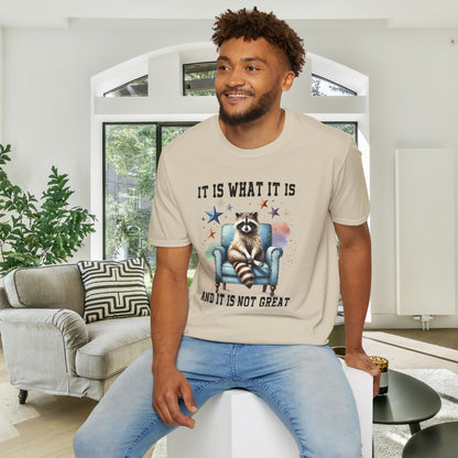 It Is What It Is And It's Not Great Racoon (2) Adult T-shirt