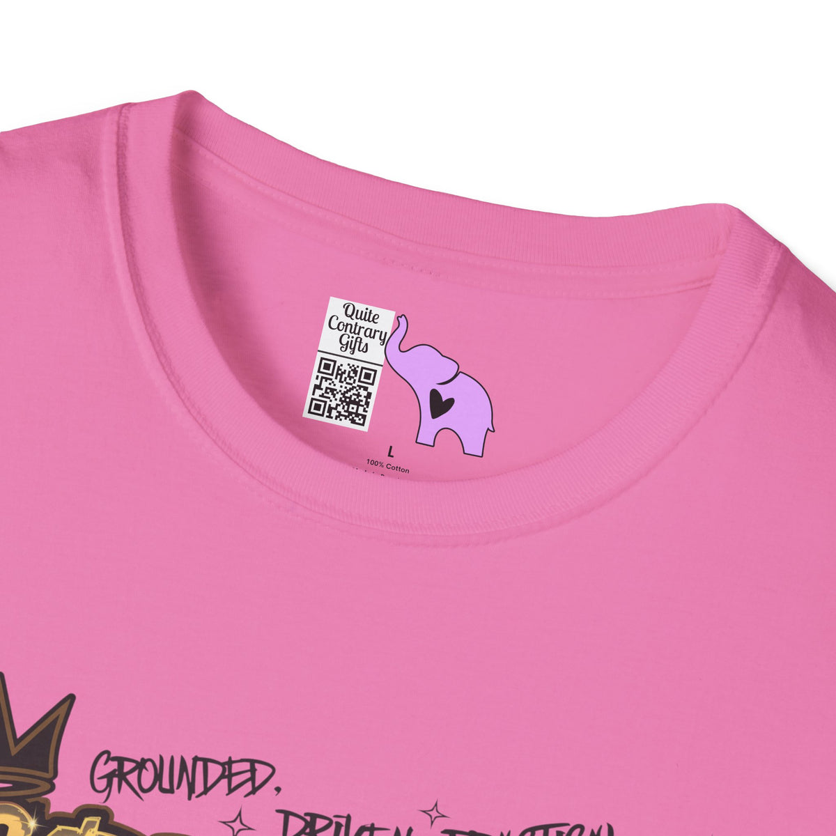 Capricorn Street Art Adult T-shirt