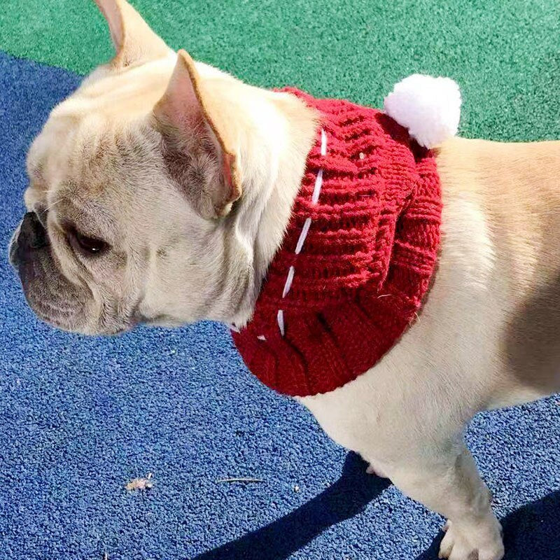 French Beanie Hat and Winter Wool Scarf for Pets