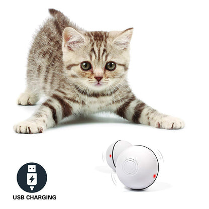 Zoomie Light Ball for Pets