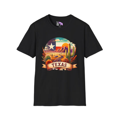 Texas Desert Roads Adult T-shirt