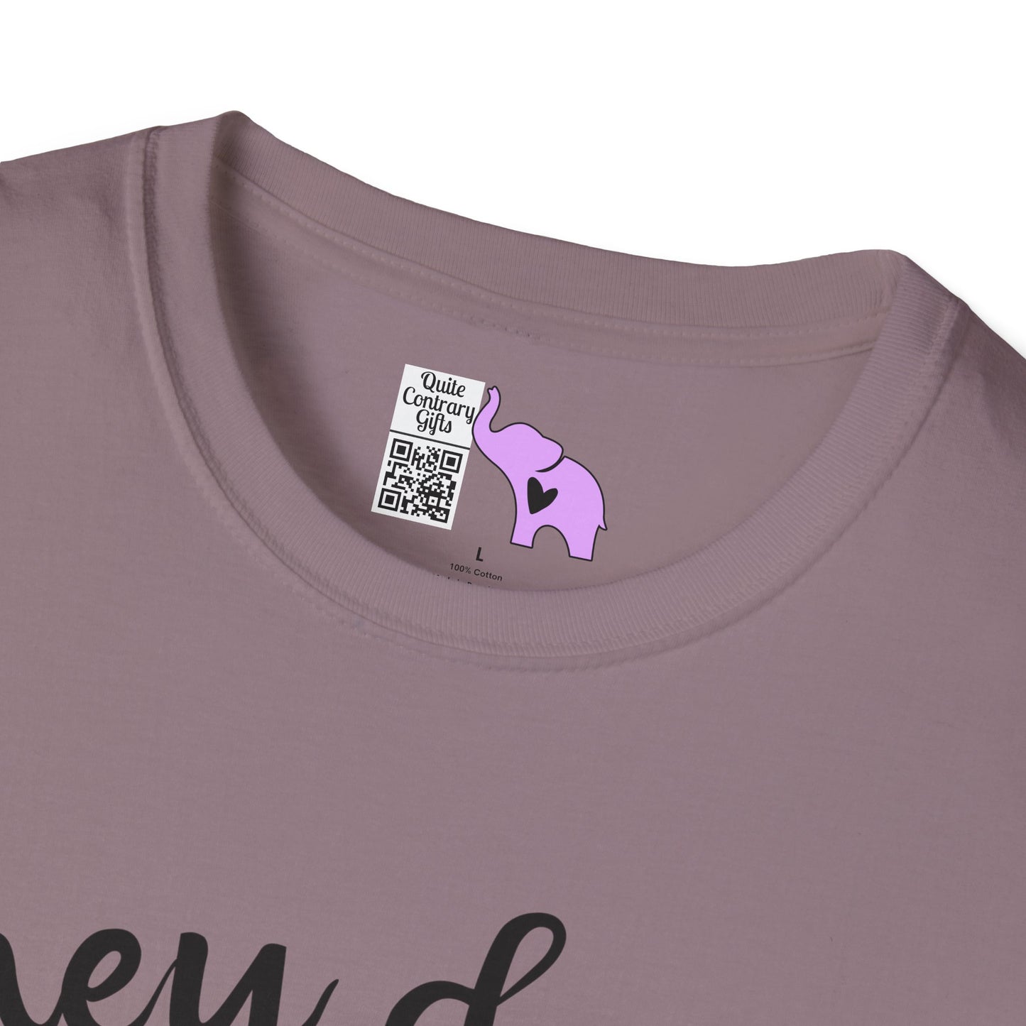 They Don't Pay Me Enough To Care Adult T-shirt