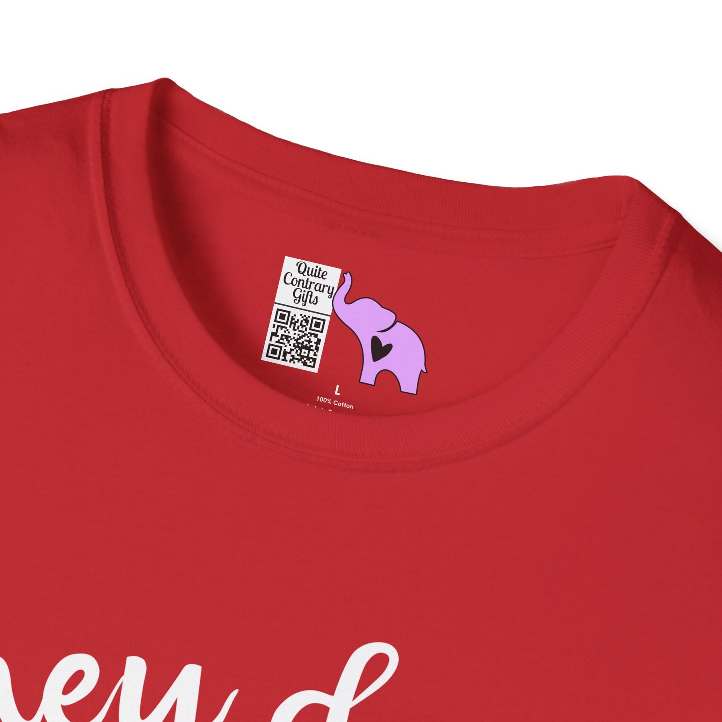 They Don't Pay Me Enough To Care Adult T-shirt
