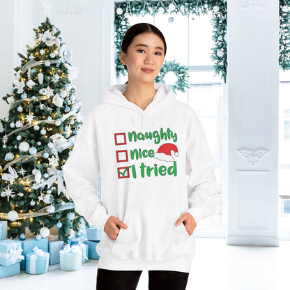 Naughty; Nice; I Tried Adult Heavy Blend™ Hooded Sweatshirt