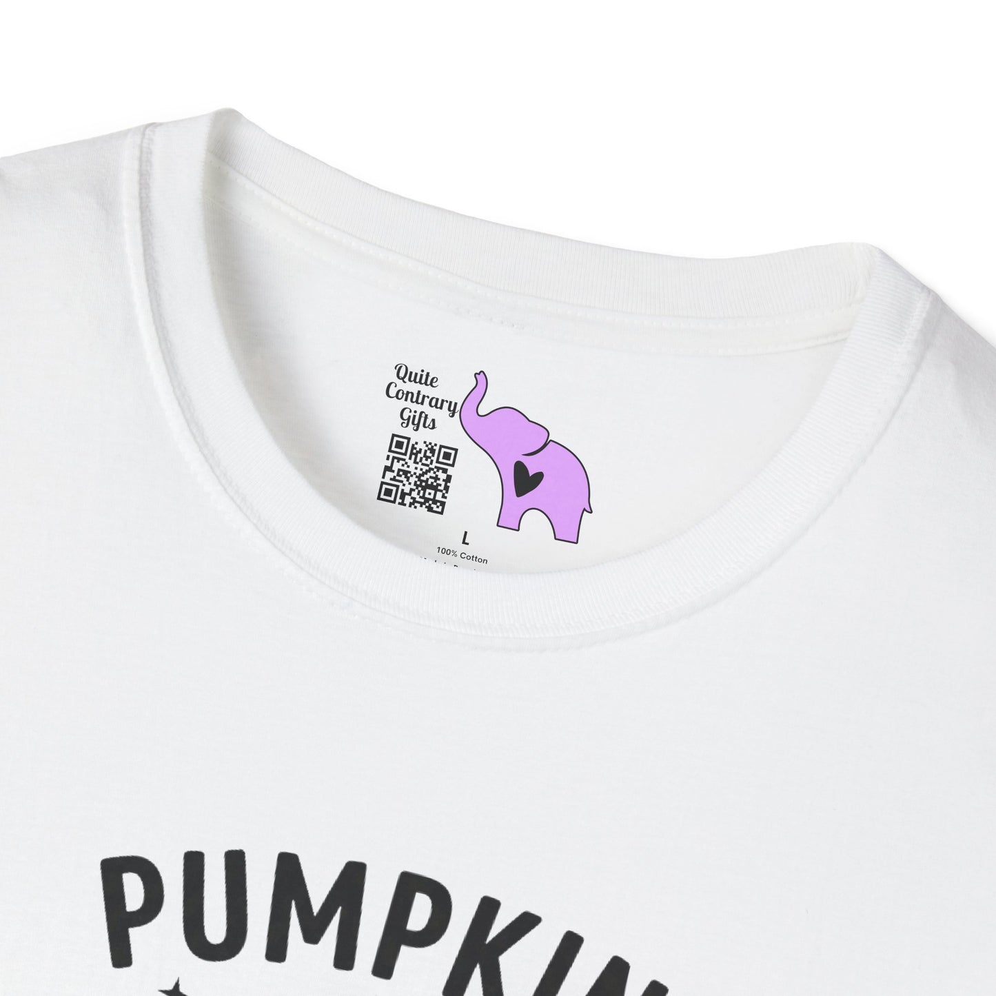 Pumpkin Season Adult T-shirt