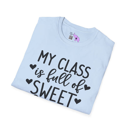 My Class is Full of Sweet Hearts Adult T-shirt